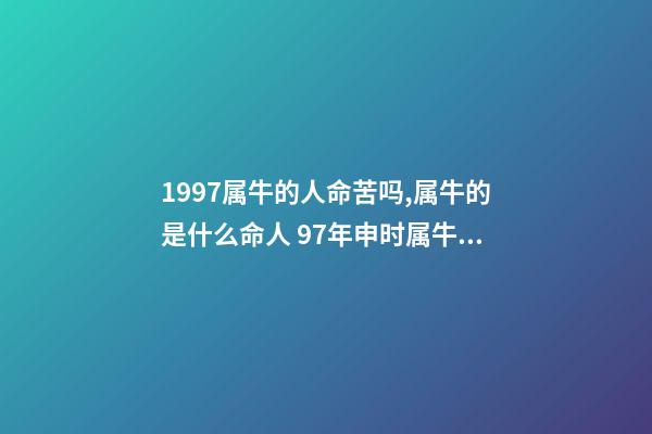 1997属牛的人命苦吗,属牛的是什么命人 97年申时属牛女命运,九七年属牛女的命运-第1张-观点-玄机派
